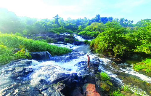 Về rừng nghe đất thở