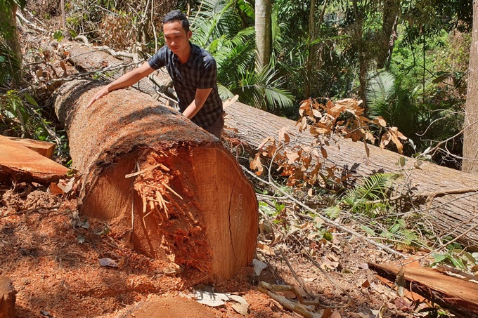 Kỷ luật Chủ tịch, Phó Chủ tịch thị trấn Măng Đen để mất rừng